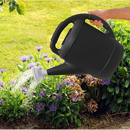 2 Gallon Resin Watering Can, Black