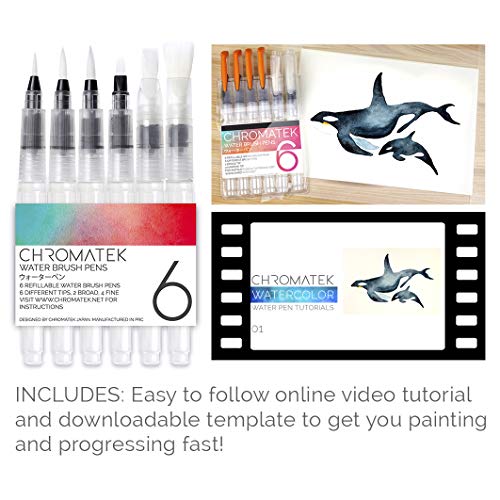 Water Brush Pens by Chromatek. Set of 6 Aqua Pen Painting Brushes....