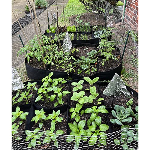 Fabric Raised Garden Bed 6x3x1ft Garden Grow Bed Bags for Growing ...