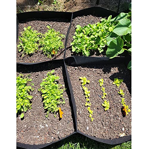 Fabric Raised Garden Bed 6x3x1ft Garden Grow Bed Bags for Growing ...