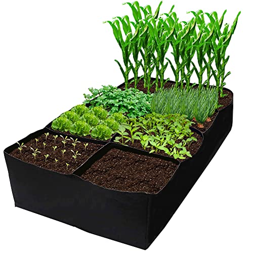Fabric Raised Garden Bed 6x3x1ft Garden Grow Bed Bags for Growing ...