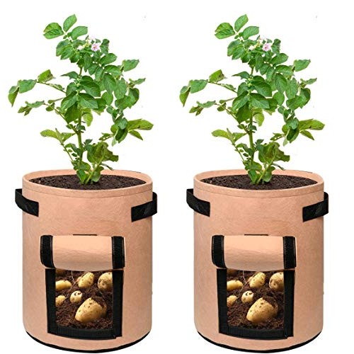 CJH 3 Pcs 7 Gallon Potato Grow Bags,Planter Pot with Handles and V...