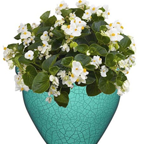 Classic Home and Garden 707D-558R 7 Snap Pot Planter, 7 Round, T...