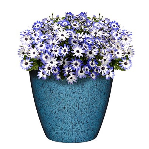 Classic Home and Garden 807-375R Vogue Planter, 8, Indigo