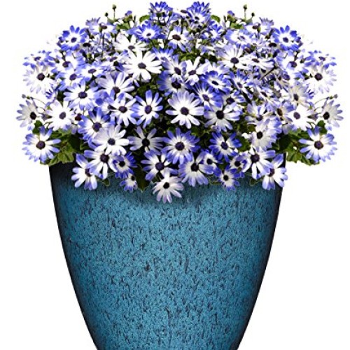Classic Home and Garden 807-375R Vogue Planter, 8, Indigo