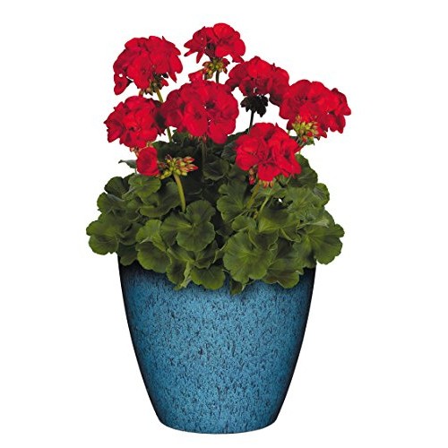 Classic Home and Garden 807-375R Vogue Planter, 8, Indigo