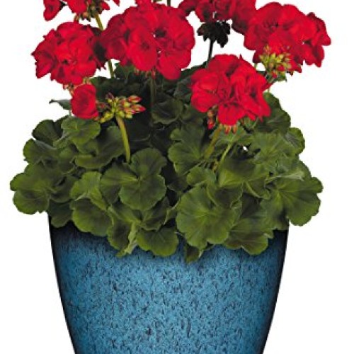Classic Home and Garden 807-375R Vogue Planter, 8, Indigo
