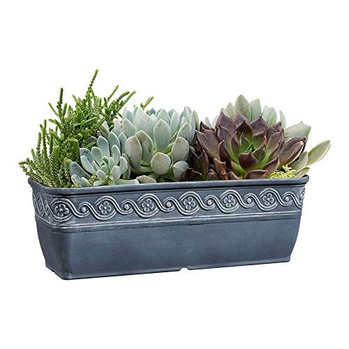 Classic Home and Garden 9410-515 Corinthian Trough Planter, 10, S...