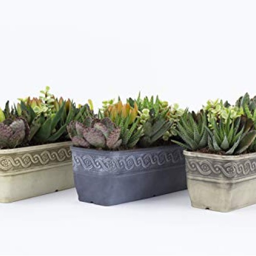 Classic Home and Garden 9410-515 Corinthian Trough Planter, 10, S...