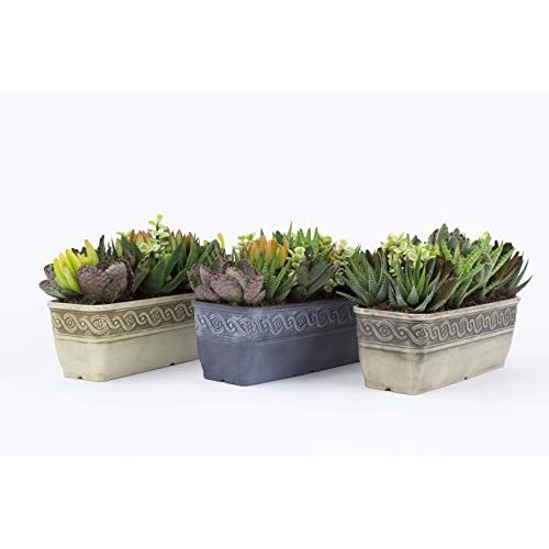 Classic Home and Garden 9410-515 Corinthian Trough Planter, 10, S...