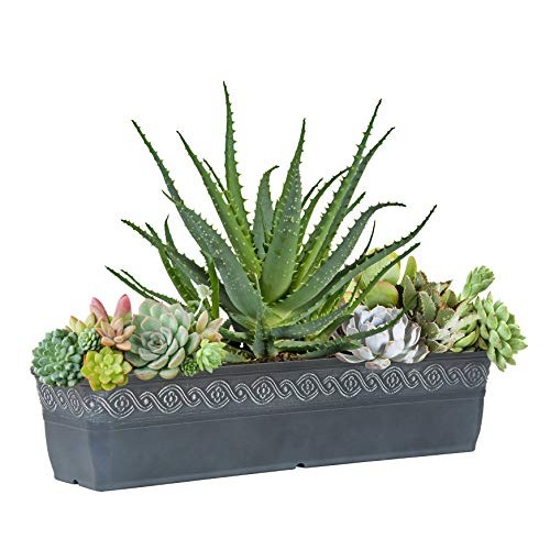 Classic Home and Garden 9418D-515 18 Corinthian Trough Planter, S...