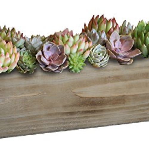 Classic Home and Garden Wood Window Box - Whitewash
