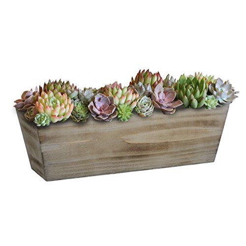Classic Home and Garden Wood Window Box - Whitewash