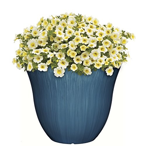 Honeysuckle Planter, Patio Pot, 15 Ocean