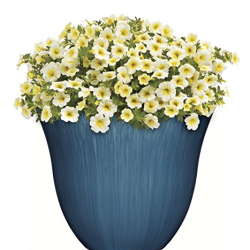Honeysuckle Planter, Patio Pot, 15 Ocean