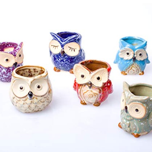 Claywa Ceramic Owl Succulent Pots Cute Animal Plant Planters 2.75...