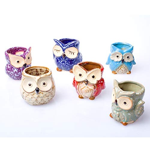 Claywa Ceramic Owl Succulent Pots Cute Animal Plant Planters 2.75...