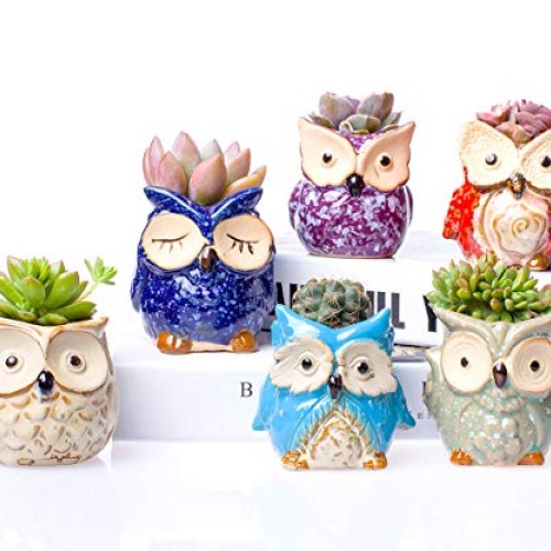 Claywa Ceramic Owl Succulent Pots Cute Animal Plant Planters 2.75...