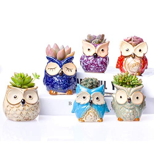 Claywa Ceramic Owl Succulent Pots Cute Animal Plant Planters 2.75...