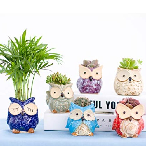 Claywa Ceramic Owl Succulent Pots Cute Animal Plant Planters 2.75...