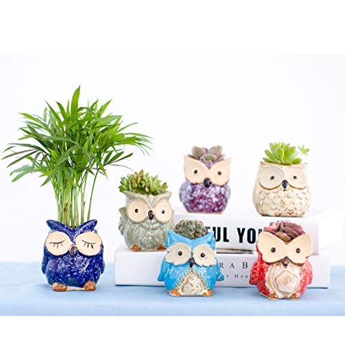 Claywa Ceramic Owl Succulent Pots Cute Animal Plant Planters 2.75...
