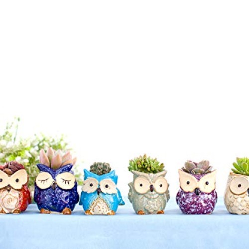 Claywa Ceramic Owl Succulent Pots Cute Animal Plant Planters 2.75...