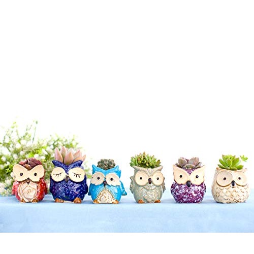 Claywa Ceramic Owl Succulent Pots Cute Animal Plant Planters 2.75...
