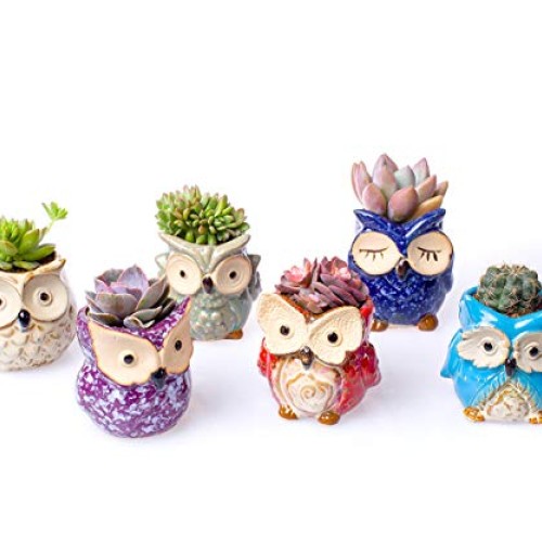 Claywa Ceramic Owl Succulent Pots Cute Animal Plant Planters 2.75...