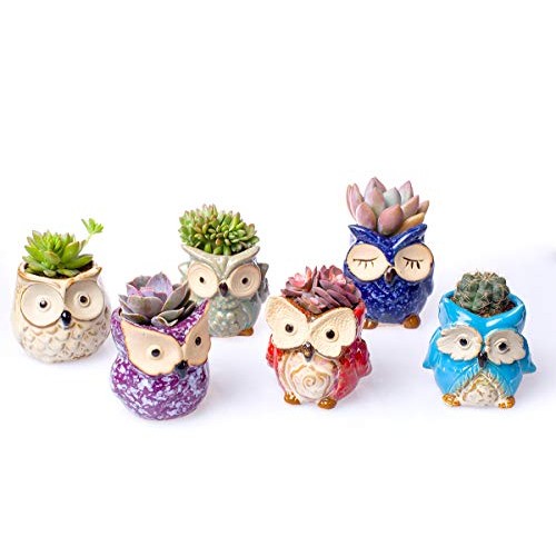 Claywa Ceramic Owl Succulent Pots Cute Animal Plant Planters 2.75...