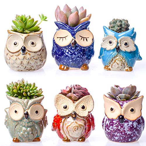 Claywa Ceramic Owl Succulent Pots Cute Animal Plant Planters 2.75...