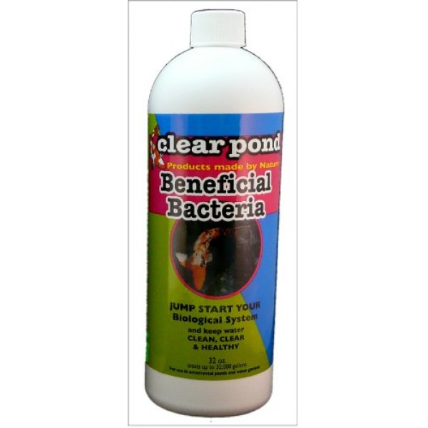 Clear Pond Beneficial Bacteria Liquid, 32-Ounce