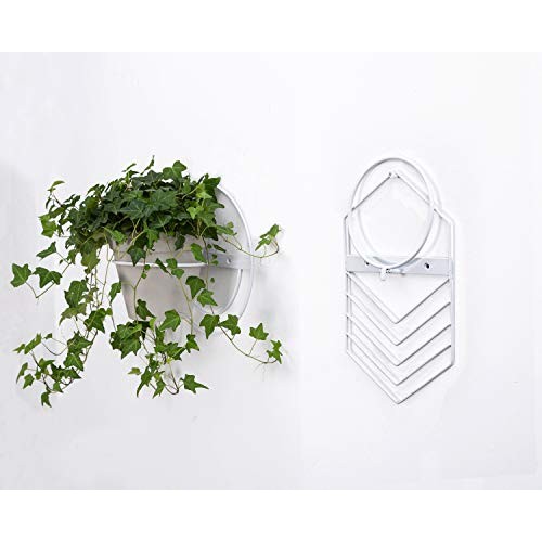 2 Pcs 6 inch Flower Pot Holder Ring Wall Mounted,Metal Flower Pot ...