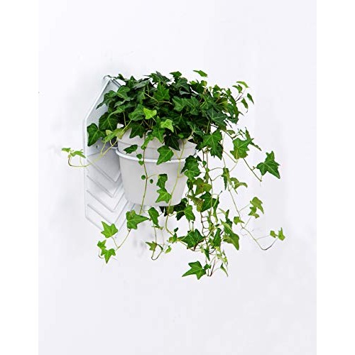 2 Pcs 6 inch Flower Pot Holder Ring Wall Mounted,Metal Flower Pot ...