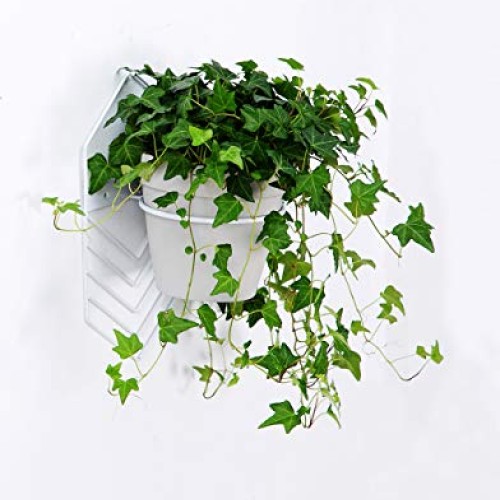2 Pcs 6 inch Flower Pot Holder Ring Wall Mounted,Metal Flower Pot ...