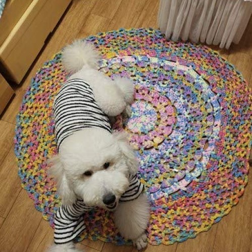 Clisil Colorful T-Shirt Yarn,Trapilho,Zpagetti Yarn,T Shirt Yarn,S...