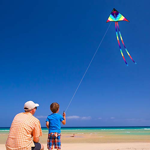CLISPEED Rainbow Kite Easy to Fly Delta Kites for Kids Beach Park ...