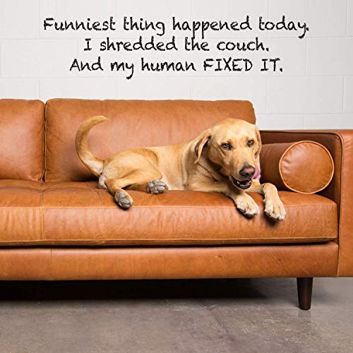 Coconix Vinyl and Leather Repair Kit - Restorer of Your Furniture,...