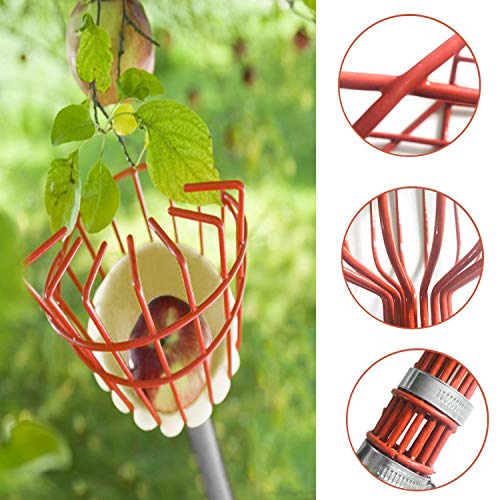 COCONUT Fruit Picker Tool, Fruit Picker with Basket and Pole Easy ...