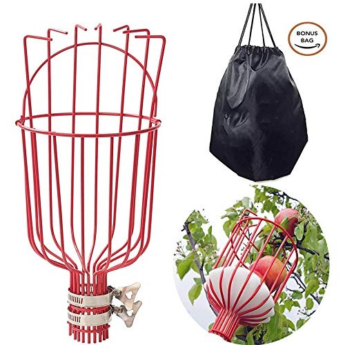 COCONUT Fruit Picker Tool, Fruit Picker with Basket and Pole Easy ...