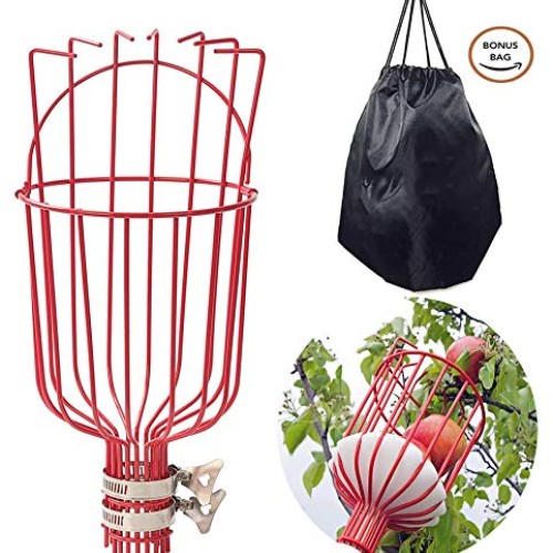 COCONUT Fruit Picker Tool, Fruit Picker with Basket and Pole Easy ...