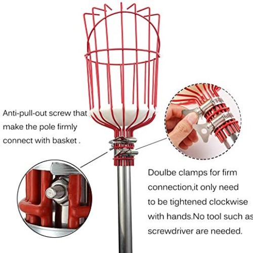 COCONUT Fruit Picker Tool, Fruit Picker with Basket and Pole Easy ...