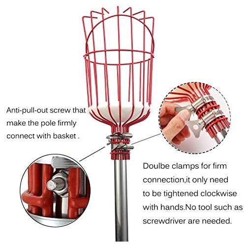 COCONUT Fruit Picker Tool, Fruit Picker with Basket and Pole Easy ...