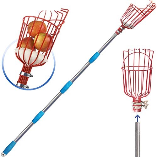 COCONUT Fruit Picker Tool, Fruit Picker with Basket and Pole Easy ...