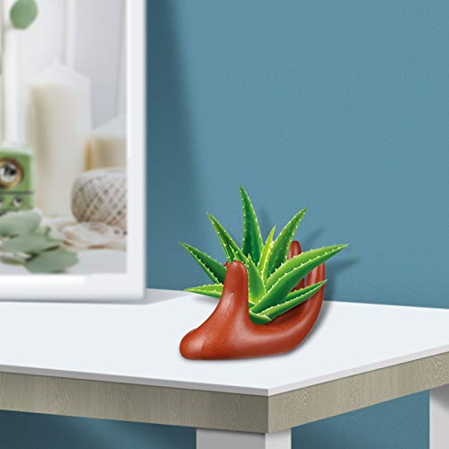 3 Pack Ceramic Air Plant Tillandsia Holder, Hand Shape Office Desk...