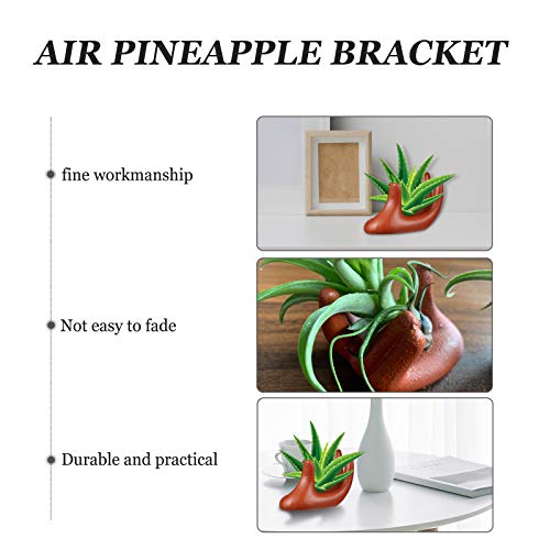3 Pack Ceramic Air Plant Tillandsia Holder, Hand Shape Office Desk...