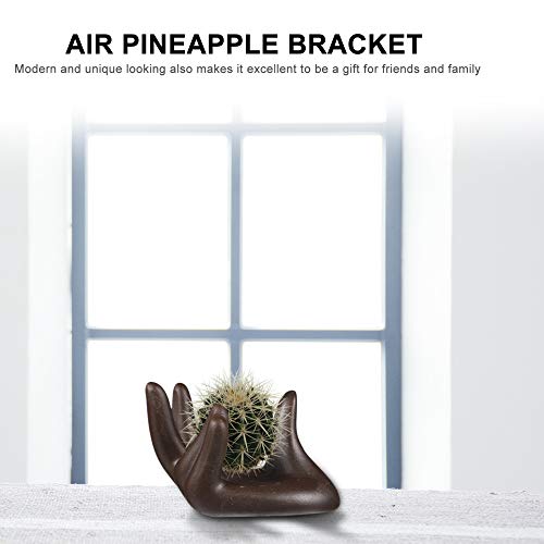 3 Pack Ceramic Air Plant Tillandsia Holder, Hand Shape Office Desk...