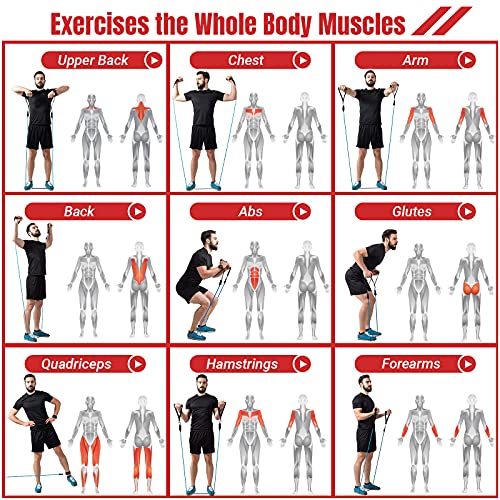 Resistance Bands Set with Yellow Handles, Exercise Bands Workout B...