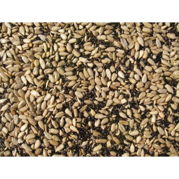 Coles FF10 10 Pound Finch Friends Seed