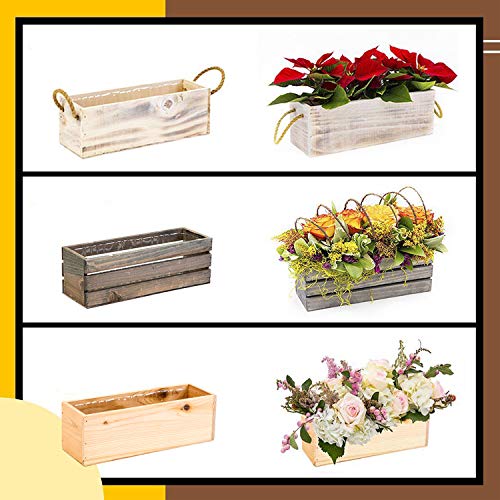 Wood Planter Box with Wine Crate Styled, 12x4 Inch Rectangular, Ru...