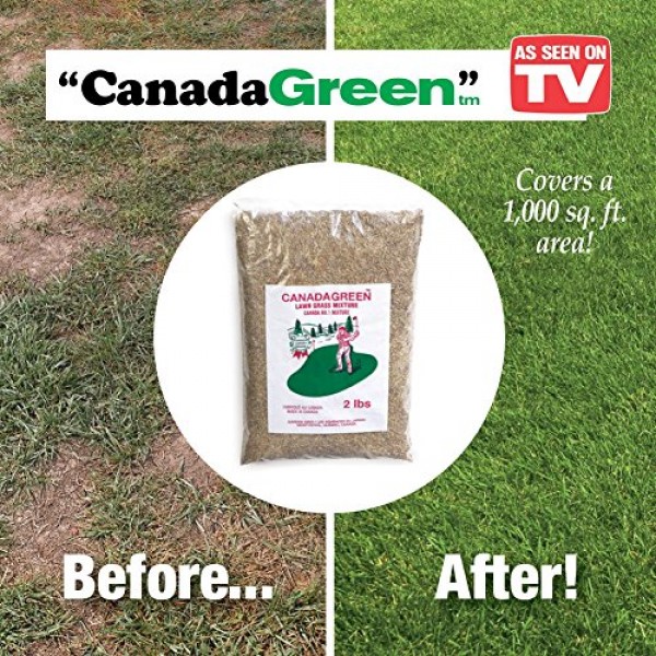 Canada Green Grass Seed - 2 Lb. Bag, Brown